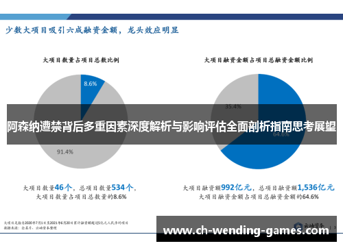 阿森纳遭禁背后多重因素深度解析与影响评估全面剖析指南思考展望